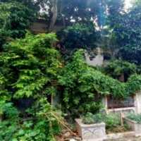 Kisah Tiko 11 Tahun Rawat Ibu di Rumah Mewah Ibu Eny