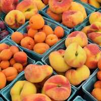 Diet Sehat, Ini 6 Buah-buahan yang Bisa Membantu Menurunkan Berat Badan Lebih Cepat