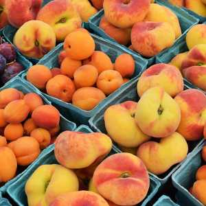 Diet Sehat, Ini 6 Buah-buahan yang Bisa Membantu Menurunkan Berat Badan Lebih Cepat