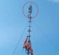 Ular Sanca 3 Meter Lilit Tower Wifi di Surabaya, Internet se-Kampung Mati