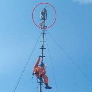 Ular Sanca 3 Meter Lilit Tower Wifi di Surabaya, Internet se-Kampung Mati