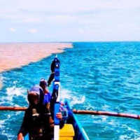 Fenomena Langka Air Laut di Perairan Gunungkidul Terbelah Jadi 2 Warna