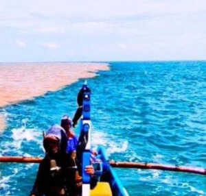 Fenomena Langka Air Laut di Perairan Gunungkidul Terbelah Jadi 2 Warna