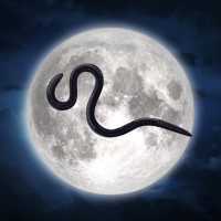 Saksikan Puncak Bulan Purnama Cacing Malam Ini, Bertepatan Nisfu Syaban