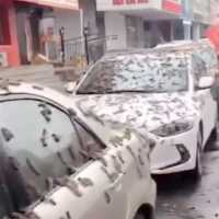 Viral Hujan Cacing di China, Inikah Penyebabnya?