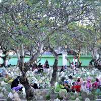 Doa Ziarah Kubur Lengkap: Urutan Bacaan dengan Latin dan Artinya