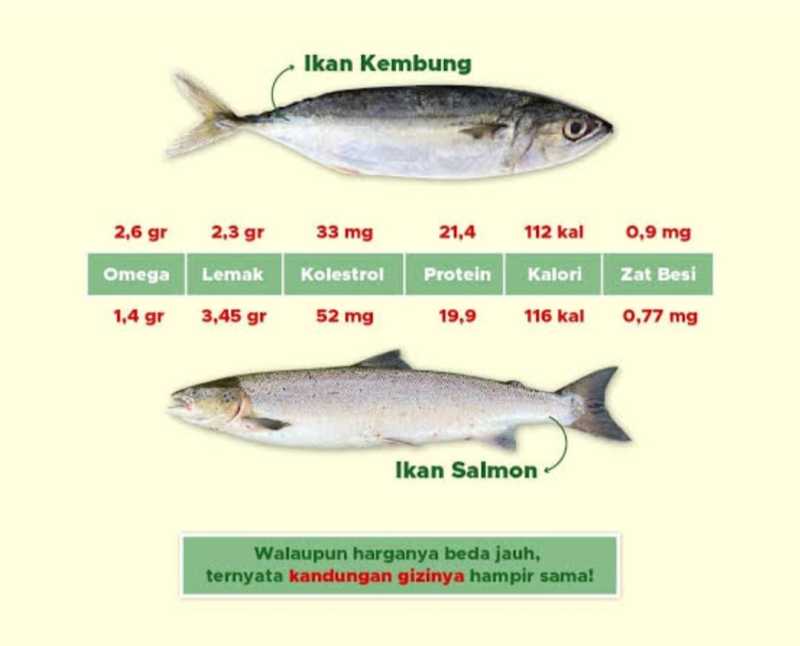     Keunggulan ikan kembung dibanding ikan salmon