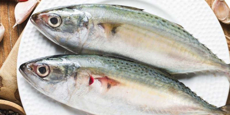 Harga Lebih Murah, Ikan Kembung Ternyata Lebih Kaya Vitamin Dari Salmon