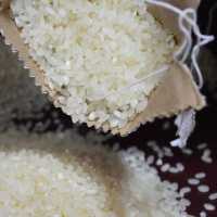 Harga Beras Medium Naik, Ini Daftar Terbaru Harga Beras Medium-Premium di Seluruh RI