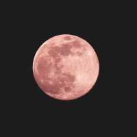 Ada Pink Moon Hiasi Langit Indonesia Malam Ini, Simak Jadwalnya