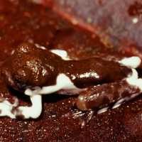 Spesies Katak Unik Ditemukan di Papua Nugini, Bisa Menyamar Jadi Kotoran Burung