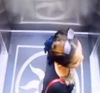 Ini Telepon Terakhir Wanita yang Terjatuh Hingga Tewas di Lift Bandara Kualanamu