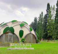 Liburan ke Kebun Raya Bogor: Fasilitas, Harga Tiket, Cara Pembelian Terbaru 2023