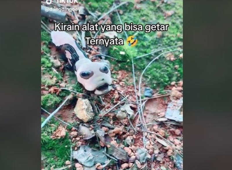 Heboh Kemunculan Ulat Aneh Berkepala Alien, Hewan Apa Itu?
