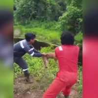 Aksi Biadab 4 Pekerja Berseragam Lempar Anjing Hidup ke Rawa Berisi Buaya