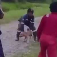 Pelempar Anjing ke Rawa Isi Buaya Disebut Pekerja Pertamina, Ini Kata Perseroan