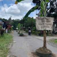 Viral Jalan Rusak di Blitar Ditanami Pohon Pisang, Mirip Ujian SIM C
