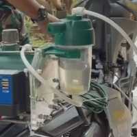 Tak Dipakai di RI, Alat Konversi Air Jadi BBM Nikuba Aryanto Diincar Pabrik Ferrari