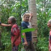 Kisah Nenek 83 Tahun Digugat Rp6 Juta dan Dituduh Curi 20 Kelapa, Ini Kronologinya