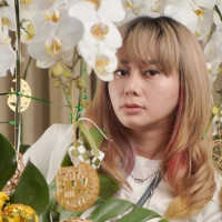 Selebgram Denise Chariesta Tuai Hujatan Usai Open Donasi Gegara Hamil Tanpa Suami