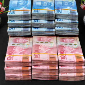 Jerome Polin Ungkap 1 WN Indonesia Tanggung Utang Rp28 Juta, Ini Penjelasan Kemenkeu