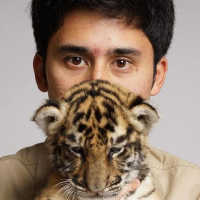 Alshad Ahmad Akhirnya Buka Hasil Tes Laboratorium Penyebab Kematian Harimau Cenora