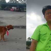 Kalungkan Bendera Merah Putih ke Leher Anjing, Pemuda Asal Riau Ini Ditangkap