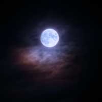 Ada Fenomena Super Blue Moon dan Planet Saturnus 30-31 Agustus, Cek Jadwalnya