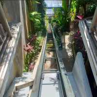 Tali Lift Resort di Bali Putus Jatuh ke Jurang dan Tewaskan 5 Orang, Ini Kronologinya