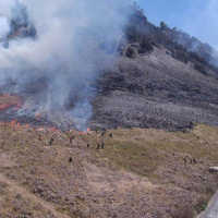 Gegara Prewedding Pakai Flare, Bukit Teletubbies di Kawasan Bromo Terbakar