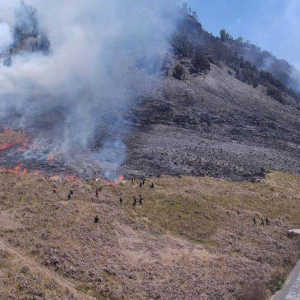 Pelaku Flare Prewedding Hingga Bakar Gunung Bromo Divonis 2,5 Tahun & Denda Rp3,5 M