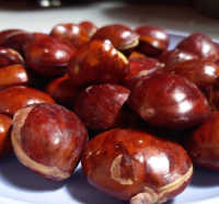 Viral Video Jengkol Bisa Bikin Sakit Ginjal, Ini Faktanya