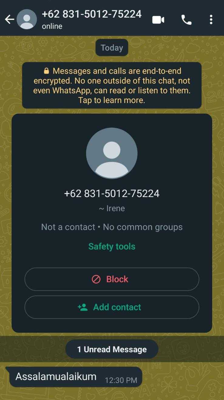 Waspada Modus Penipuan Via WhatsApp: Jangan Asal Klik Gambar Block!