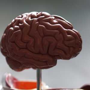 Apa Itu Mati Batang Otak? Penyakit yang Dialami Bocah di Bekasi Usai Operasi Amandel