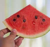 Ramai Pasang Gambar Semangka untuk Dukung Palestina, Apa Artinya?