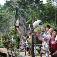 Rekomendasi 5 Tempat Wisata di Bandung Cocok Isi Liburan Anak