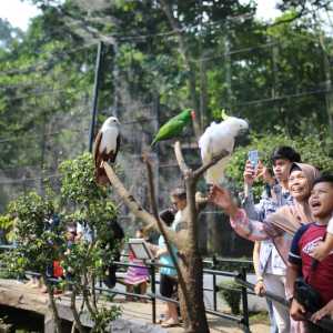 Rekomendasi 5 Tempat Wisata di Bandung Cocok Isi Liburan Anak