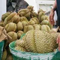 Biar Tidak Zonk, Ini 5 Tips Memilih Durian yang Manis, Daging Tebal dan Siap Santap