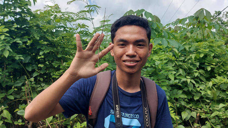     Davis Marthin Damaledo, pemuda asal Kupang, NTT yang menemukan serangga ranting jenis baru  (bbc.com)