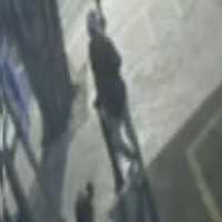 Gathan Saleh, Eks Suami Artis Dina Lorenza, Pelaku Penembakan di Jatinegara Ditangkap