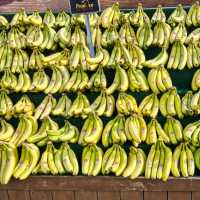 5 Jenis Pisang yang Cocok Diolah Menjadi Pisang Goreng