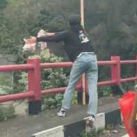 Viral Penumpang Mobil F 1211 YG Buang Sampah Sembarangan, Ridwan Kamil Sampai kesal