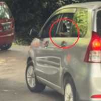 Viral Pengemudi Xenia Buka Jendela di Area Singa Taman Safari, Ini Nasib Penumpang