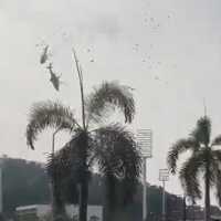 Kronologi dan Video 2 Helikopter Malaysia Tabrakan di Udara, 10 Orang Tewas