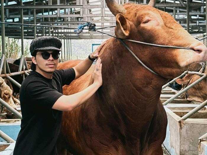 Deretan Artis Kurban Sapi Jumbo Saat Iduladha 2024