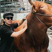 Deretan Artis Kurban Sapi Jumbo Saat Iduladha 2024