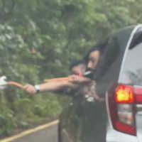 Nasib Kuda Nil Usai Diberi Makan Plastik, Taman Safari Ungkap Identitas Pelaku