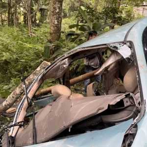 Kecelakaan Maut Avanza Terjun ke Jurang di Mojokerto: 2 Tewas, 9 Luka