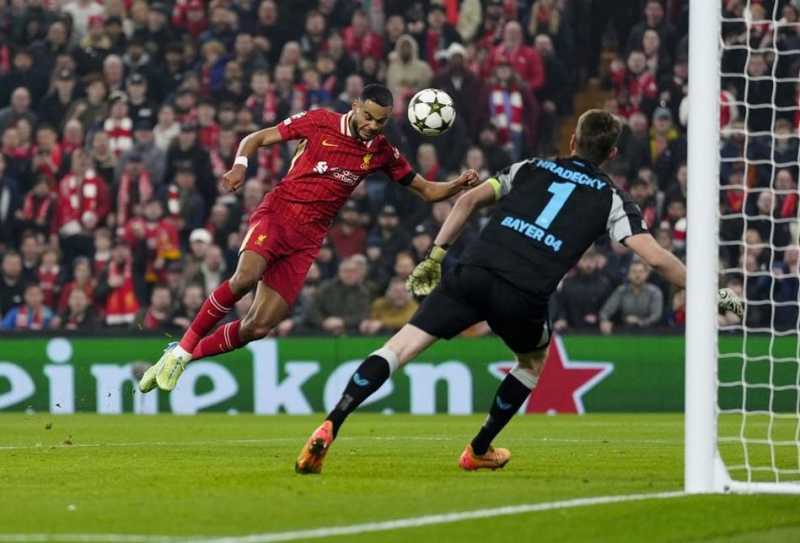     Liverpool vs Bayer Leverkusen: Cody Gakpo menyumbang satu gol saat The Reds pesta gol atas Bayer Leverkusen di Stadion Anfield (uefa.com)