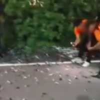 Ratusan Burung Pipit Mati Misterius di Area Bandara Bali, Ternyata Ini Penyebabnya